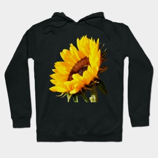 Sunflower Magic Hoodie